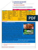 Explicamos La Alimentacion Balanceada y Sus Beneficios