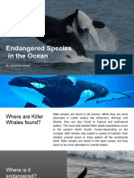 Endangered Species