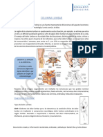 IMECV 2023 Lectura Previa Columna Lumbar 4