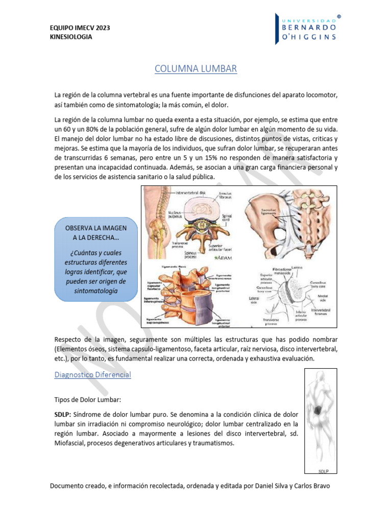 Patrones de Dolor Lumbar y Diagnóstico | PDF | La columna vertebral ...