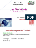 Anatomie-comparee