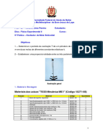 5 Prtica Oscilador de Mola Helicoidal