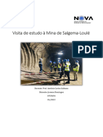 Relatório Da Saída - Loulé-Jurema Domingos 2022