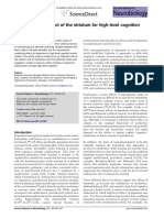 Dopaminergic Control of The Striatum For High-Level Cognition