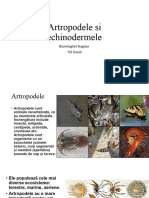 Artropodele Si Echinodermele