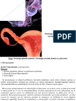 Patologia Glandei Mamare