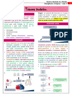 Emergências Cirúrgicas - Aula 4 - Trauma Torácico