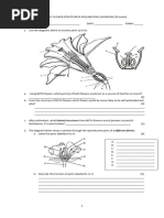 Dictionar Roman - Englez | PDF | Stress (Linguistics ...