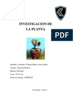 1investigacion de Lap Plkanta