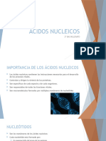 Acidos Nucleicos 1