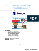 Informe - Collas-1