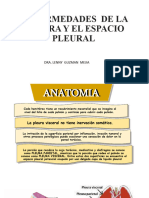 Pleura y Cavidad Pleural Udabol