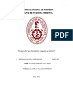 ¿Por Qué Fracasan Los Proyectos?