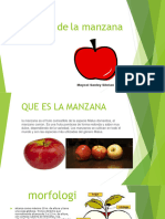 Morfologia de La Manzana Maycol