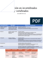 Circulacion en Invertebrados y Vertebrados