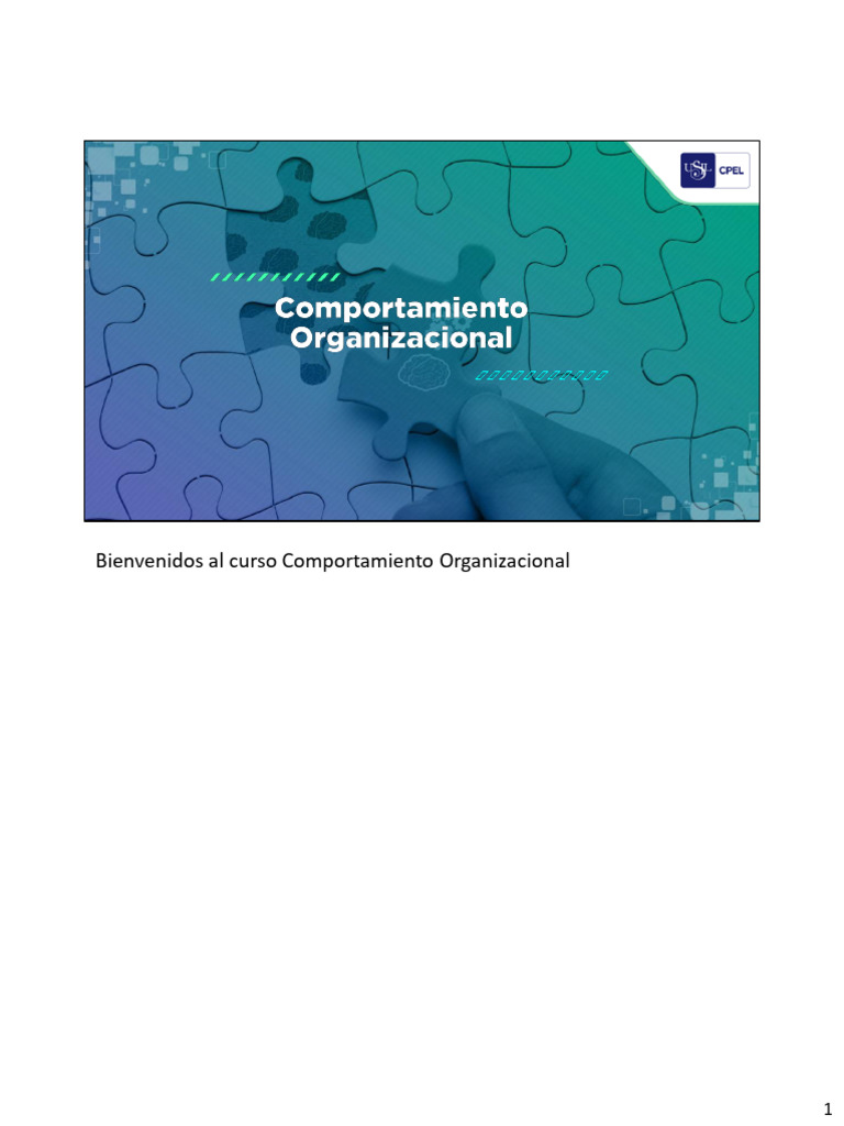 Poder y Autoridad en Organizaciones | PDF