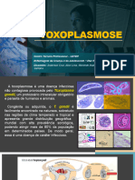 Apresentação Toxoplasmose 2