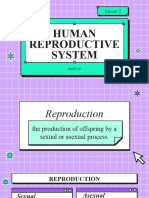 Lesson 2. Reproductive System