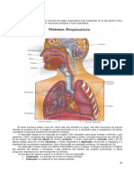 Apostila de Anatomia e Fisiologia - Parte 2 PDF F