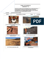 PDF 130 Panel Fotografico Reporte Semanal 12 Compress