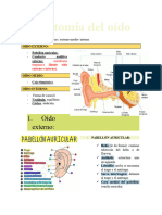 Anatomia Del Oido