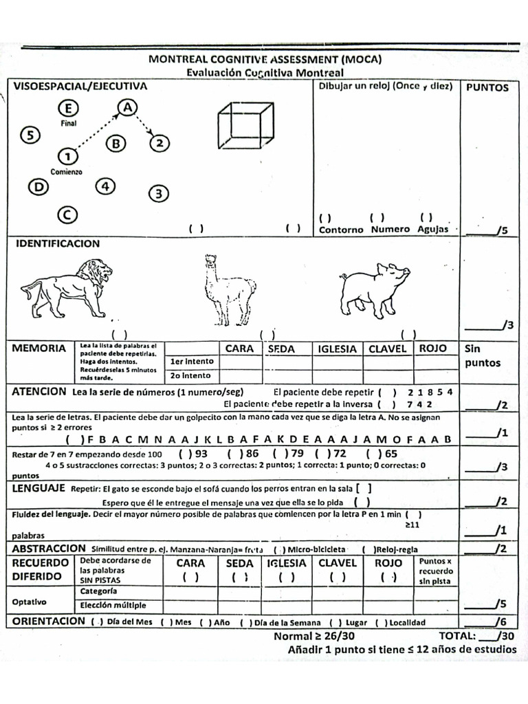 Test de moca pdf