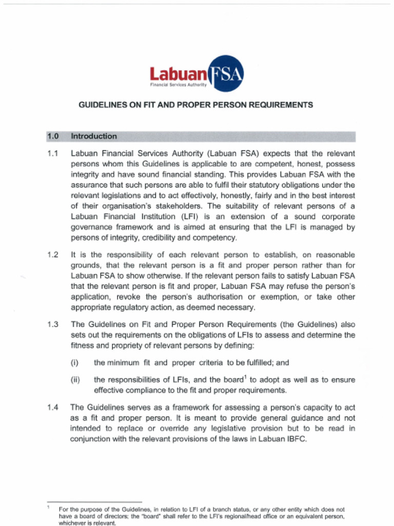 Guidelines On Fit and Proper Person Requirements 2015 | PDF