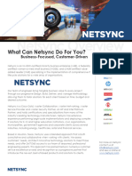 Netsync Overview Summary