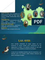 Semana_N_29_-_Las_aves (1)