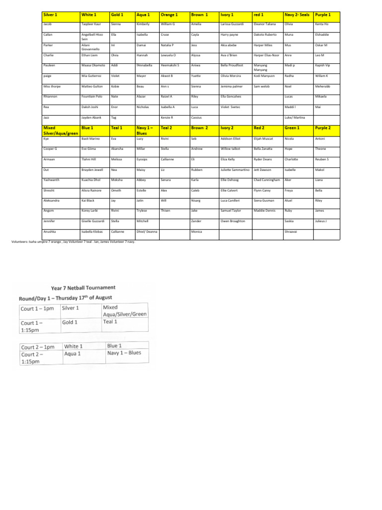 netball-team-sheets-and-draw-pdf