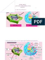 Work Sheet Plant Cell and Animal Cell