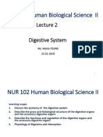 Lecture 1-Digestive System - Student Version - Final