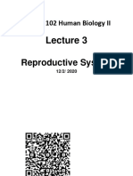 Lecture 3 Reproductive System