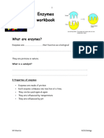 Enzyme Workbook