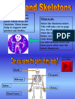 Bones and Skeletons
