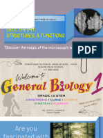 BIO1 - Lecture 3.1 & 3.2 - Cell Theory, Structures & Functions