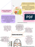 Mapa Ácidos Nucleicos y Lípidos