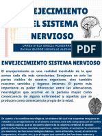 Envejecimiento Sistema Nervioso