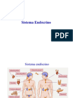 Sistema endocrino-fUNDAMENTOS aNATOfISIOLOGICOS