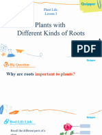 q2 Sci3 Plants With Different Roots