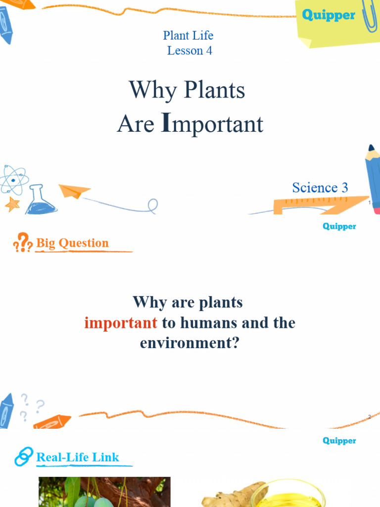 Why Plants Are Important PDF