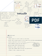 Mapa Mental Evolução