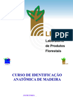 Curso Identificação de Madeiras Lpf-Ibama