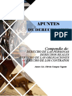 Apuntes de Derecho Civil - Edwin Campos Ugarte PDF