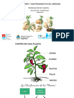 2 PROPAGACIÓN DE PLANTAS