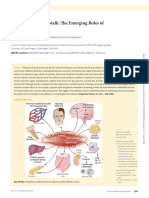 Muscle - Organ Crosstalk - The Emerging Roles of Myokines