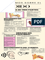 Infografia Del Oído