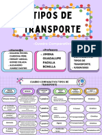 Tipos de Transporte