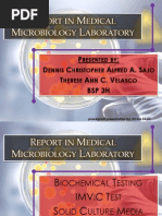 Medical Microbiology