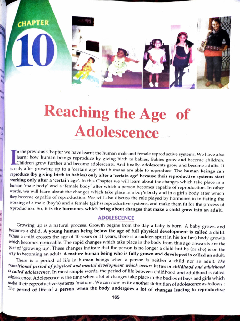 Understanding Adolescence | PDF | Endocrine System | Puberty